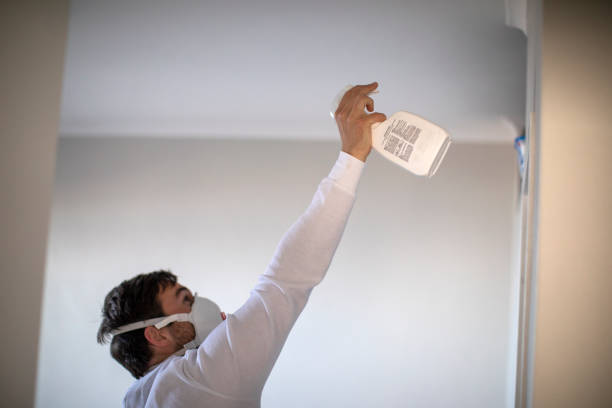 Best Local Mold Removal Service  in Taos, NM