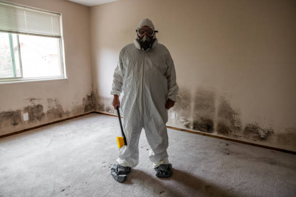 Best Crawl Space Mold Removal  in Taos, NM